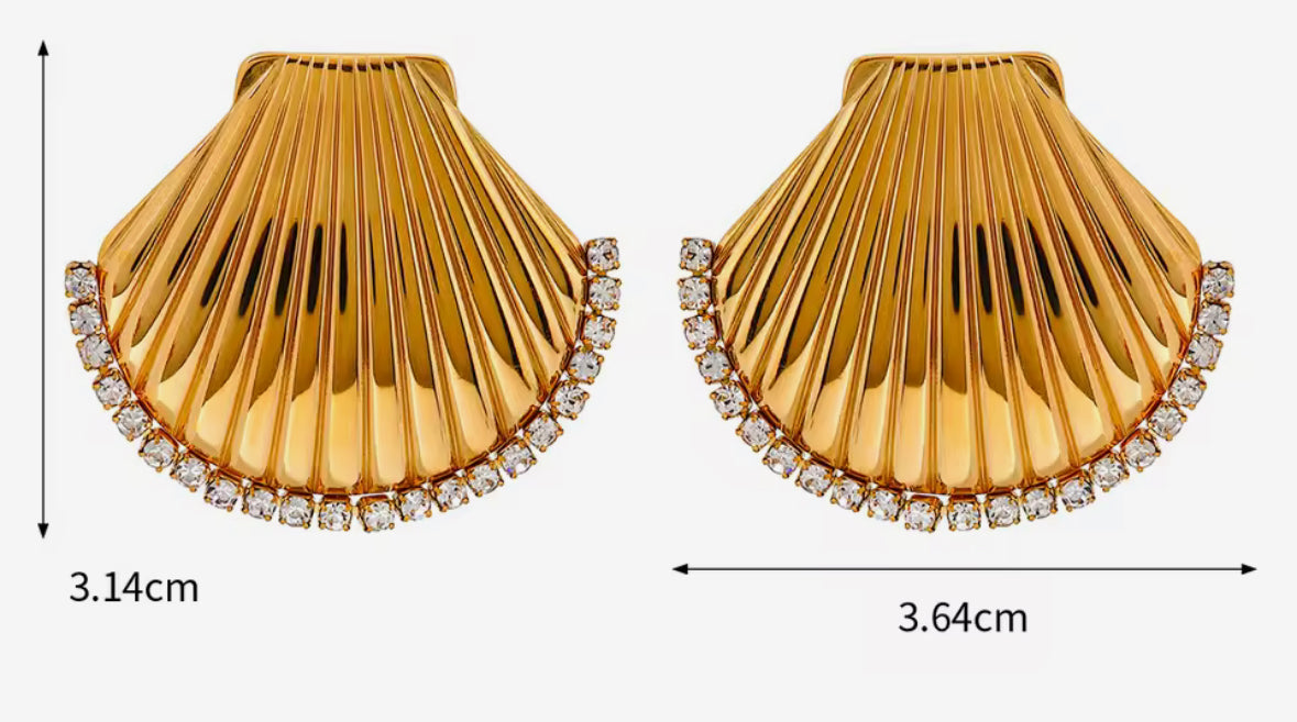 Summer Sea Ocean Shell