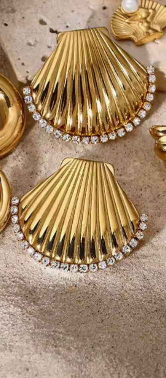 Summer Sea Ocean Shell